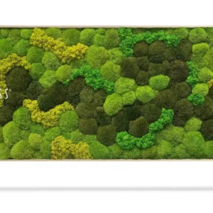 BOLMOSS DUO Light Anento preserved moss wall art panel, front view