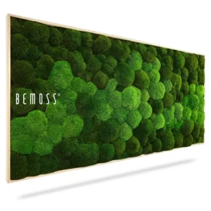 BOLMOSS DUO Natural Green preserved moss art panel, angled product view with logo