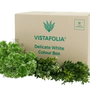 Vistafolia Delicate White Color Box