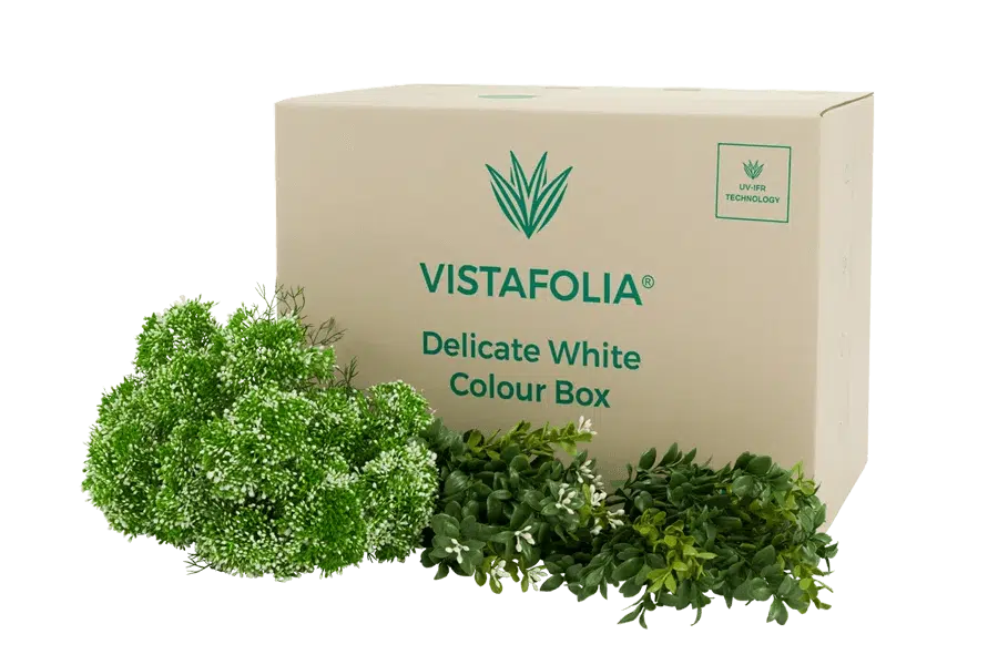 Vistafolia Delicate White Color Box