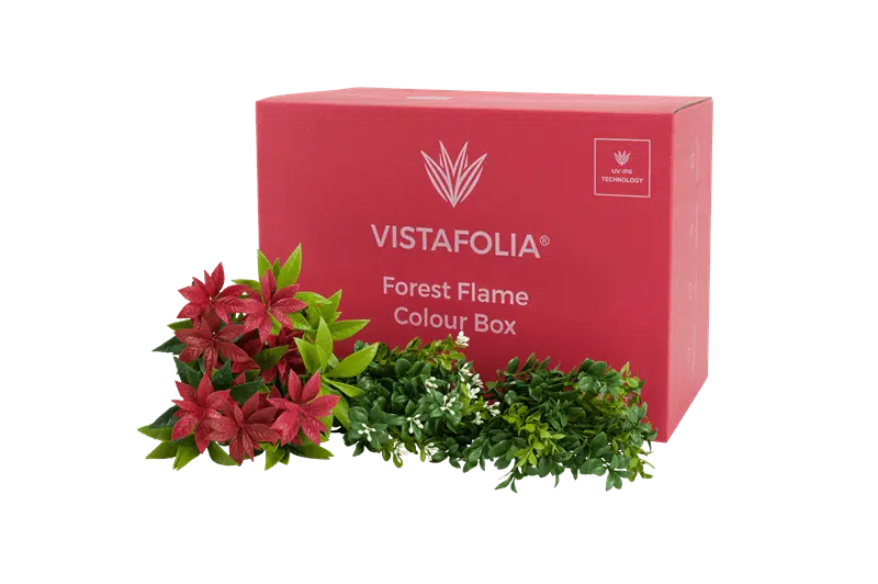 Vistafolia Forest Flame Color Box