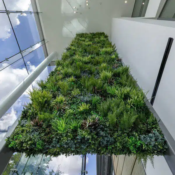 Healthcare Green Walls
