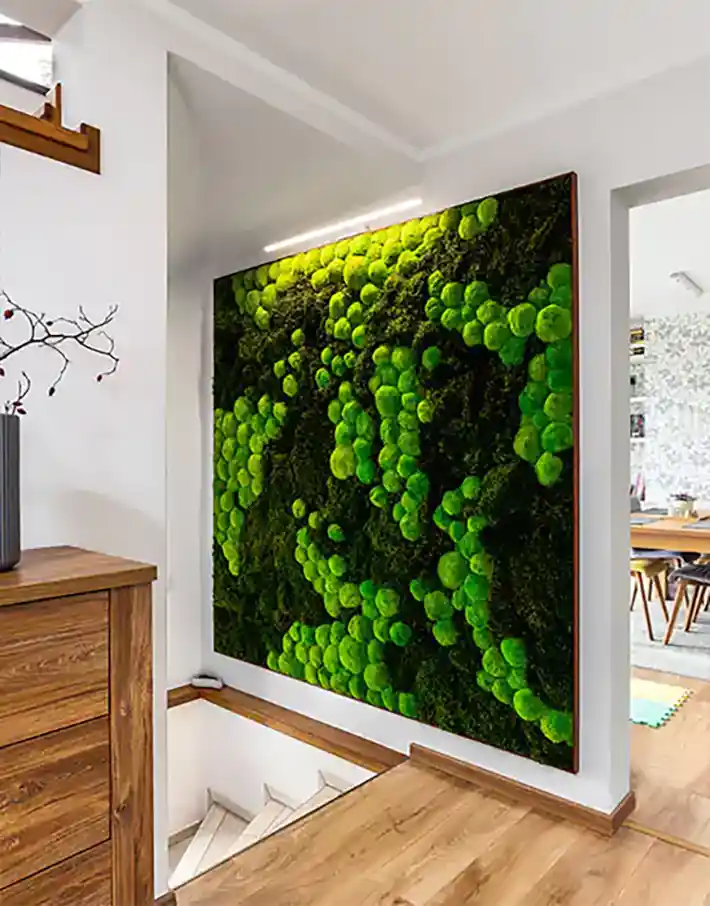 Modern Moss Art Designs for Mankato Properties