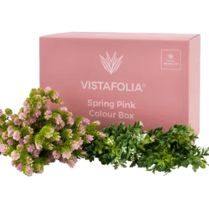 Vistafolia Spring Pink Color Box