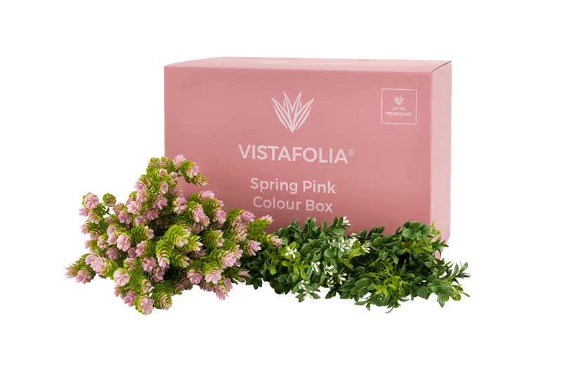 Vistafolia Spring Pink Color Box