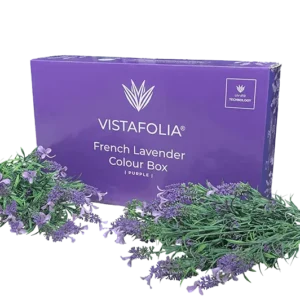 Vistafolia Purple French Lavender Color Box